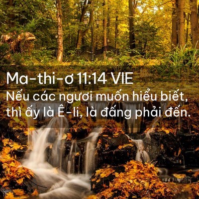 Picture 02 - Ma-thi-ơ 11:14 VIE - Nếu các ngươi muốn hiểu biết, thì - Bible Verse Picture