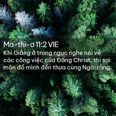 Picture 02 - Ma-thi-ơ 11:2 VIE - Khi Giăng ở trong ngục nghe nói về các - Bible Verse Picture