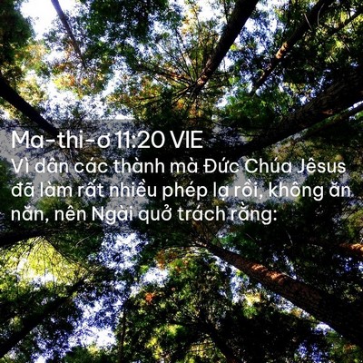 Picture 02 - Ma-thi-ơ 11:20 VIE - Vì dân các thành mà Đức Chúa Jêsus đã - Bible Verse Picture