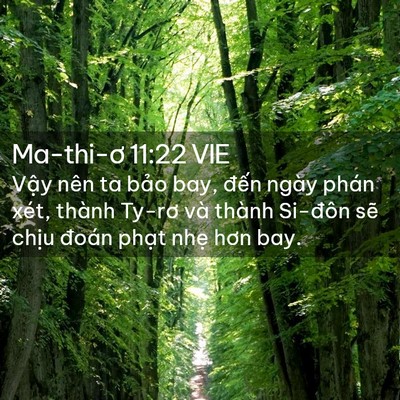 Picture 02 - Ma-thi-ơ 11:22 VIE - Vậy nên ta bảo bay, đến ngày phán xét, - Bible Verse Picture