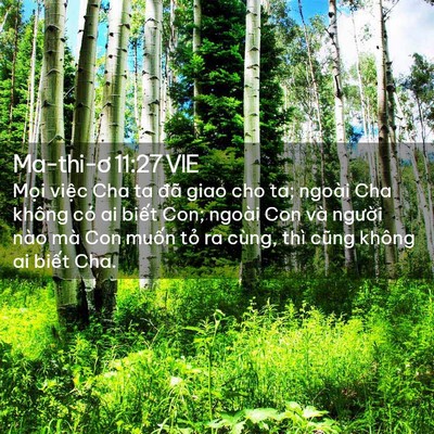 Picture 02 - Ma-thi-ơ 11:27 VIE - Mọi việc Cha ta đã giao cho ta; ngoài Cha - Bible Verse Picture