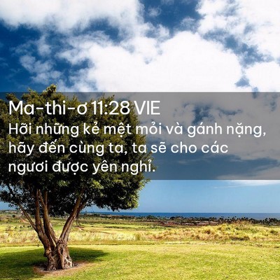 Picture 02 - Ma-thi-ơ 11:28 VIE - Hỡi những kẻ mệt mỏi và gánh nặng, - Bible Verse Picture