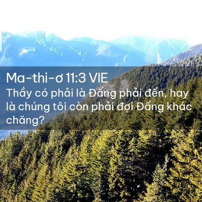 Picture 02 - Ma-thi-ơ 11:3 VIE - Thầy có phải là Đấng phải đến, hay - Bible Verse Picture