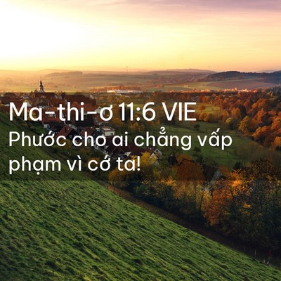 Picture 02 - Ma-thi-ơ 11:6 VIE - Phước cho ai chẳng vấp phạm vì cớ - Bible Verse Picture