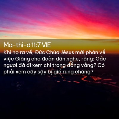 Picture 02 - Ma-thi-ơ 11:7 VIE - Khi họ ra về, Đức Chúa Jêsus mới phán - Bible Verse Picture