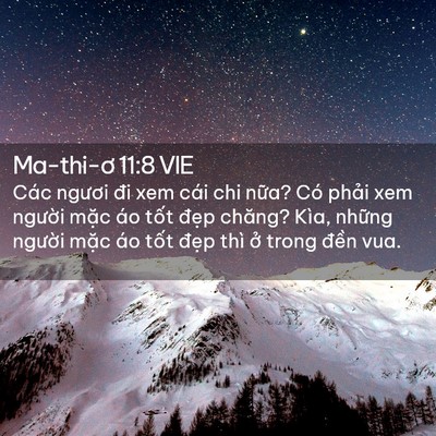 Picture 02 - Ma-thi-ơ 11:8 VIE - Các ngươi đi xem cái chi nữa? Có phải - Bible Verse Picture
