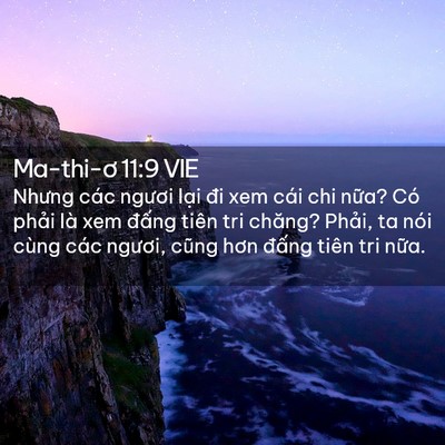 Picture 02 - Ma-thi-ơ 11:9 VIE - Nhưng các ngươi lại đi xem cái chi nữa? - Bible Verse Picture
