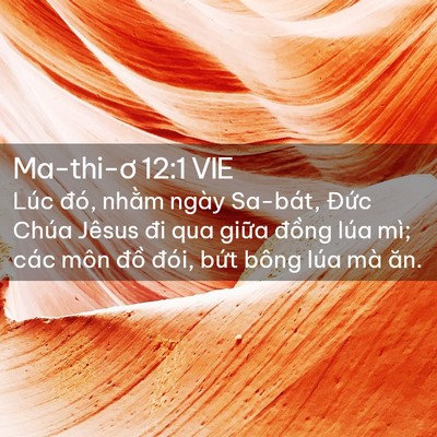 Picture 02 - Ma-thi-ơ 12:1 VIE - Lúc đó, nhằm ngày Sa-bát, Đức Chúa - Bible Verse Picture