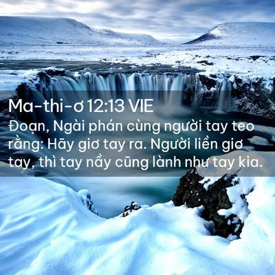 Picture 02 - Ma-thi-ơ 12:13 VIE - Đoạn, Ngài phán cùng người tay teo - Bible Verse Picture