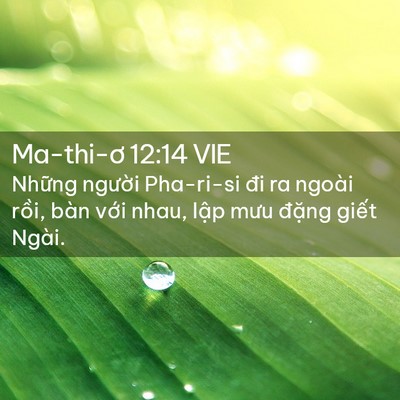 Picture 02 - Ma-thi-ơ 12:14 VIE - Những người Pha-ri-si đi ra ngoài rồi, - Bible Verse Picture