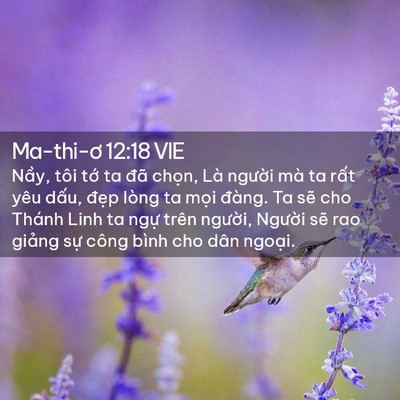 Picture 02 - Ma-thi-ơ 12:18 VIE - Nầy, tôi tớ ta đã chọn, Là người mà - Bible Verse Picture