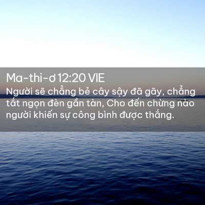 Picture 02 - Ma-thi-ơ 12:20 VIE - Người sẽ chẳng bẻ cây sậy đã gãy, - Bible Verse Picture