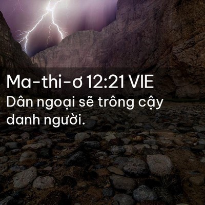 Picture 02 - Ma-thi-ơ 12:21 VIE - Dân ngoại sẽ trông cậy danh - Bible Verse Picture
