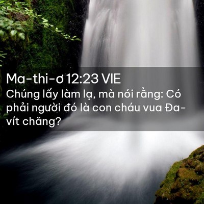 Picture 02 - Ma-thi-ơ 12:23 VIE - Chúng lấy làm lạ, mà nói rằng: Có - Bible Verse Picture