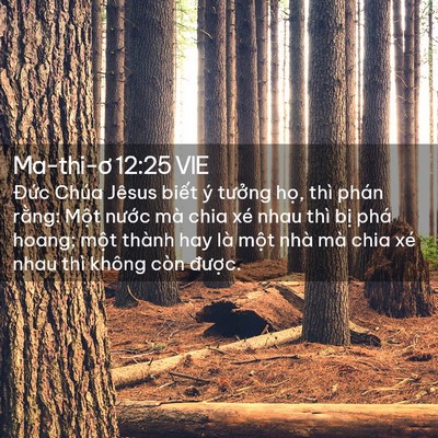 Picture 02 - Ma-thi-ơ 12:25 VIE - Đức Chúa Jêsus biết ý tưởng họ, thì - Bible Verse Picture
