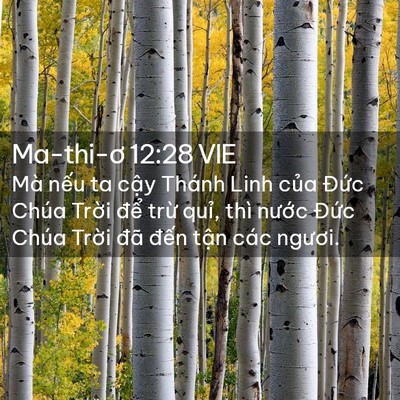 Picture 02 - Ma-thi-ơ 12:28 VIE - Mà nếu ta cậy Thánh Linh của Đức Chúa - Bible Verse Picture