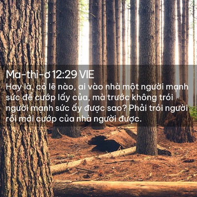 Picture 02 - Ma-thi-ơ 12:29 VIE - Hay là, có lẽ nào, ai vào nhà một - Bible Verse Picture
