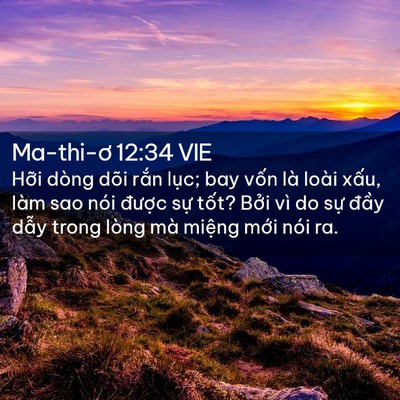 Picture 02 - Ma-thi-ơ 12:34 VIE - Hỡi dòng dõi rắn lục; bay vốn là loài - Bible Verse Picture