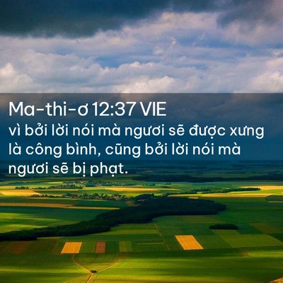 Picture 02 - Ma-thi-ơ 12:37 VIE - vì bởi lời nói mà ngươi sẽ được - Bible Verse Picture