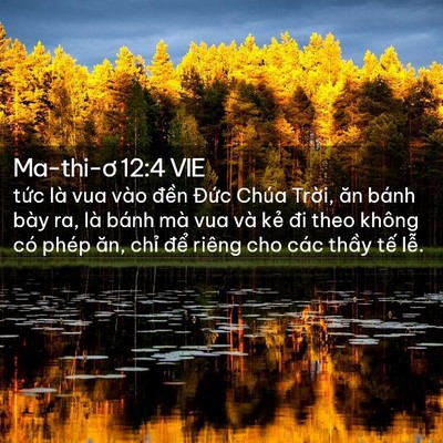 Picture 02 - Ma-thi-ơ 12:4 VIE - tức là vua vào đền Đức Chúa Trời, - Bible Verse Picture
