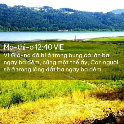 Picture 02 - Ma-thi-ơ 12:40 VIE - Vì Giô-na đã bị ở trong bụng cá lớn - Bible Verse Picture