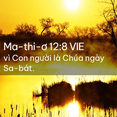 Picture 02 - Ma-thi-ơ 12:8 VIE - vì Con người là Chúa ngày - Bible Verse Picture