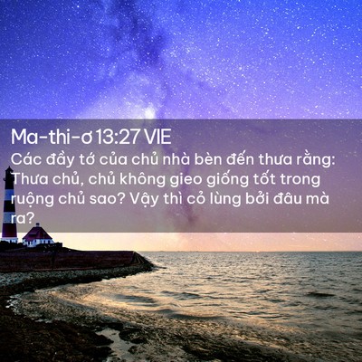 Picture 02 - Ma-thi-ơ 13:27 VIE - Các đầy tớ của chủ nhà bèn đến - Bible Verse Picture