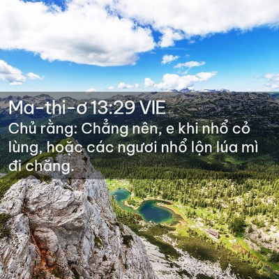 Picture 02 - Ma-thi-ơ 13:29 VIE - Chủ rằng: Chẳng nên, e khi nhổ cỏ - Bible Verse Picture