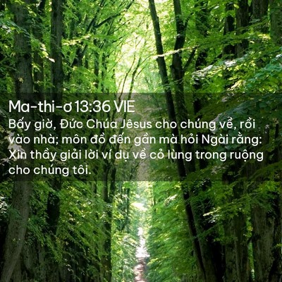 Picture 02 - Ma-thi-ơ 13:36 VIE - Bấy giờ, Đức Chúa Jêsus cho chúng về, - Bible Verse Picture