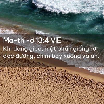 Picture 02 - Ma-thi-ơ 13:4 VIE - Khi đang gieo, một phần giống rơi dọc - Bible Verse Picture