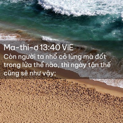 Picture 02 - Ma-thi-ơ 13:40 VIE - Còn người ta nhổ cỏ lùng mà đốt - Bible Verse Picture