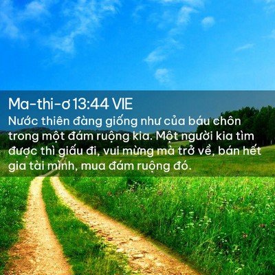 Picture 02 - Ma-thi-ơ 13:44 VIE - Nước thiên đàng giống như của báu - Bible Verse Picture