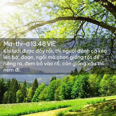 Picture 02 - Ma-thi-ơ 13:48 VIE - Khi lưới được đầy rồi, thì người - Bible Verse Picture