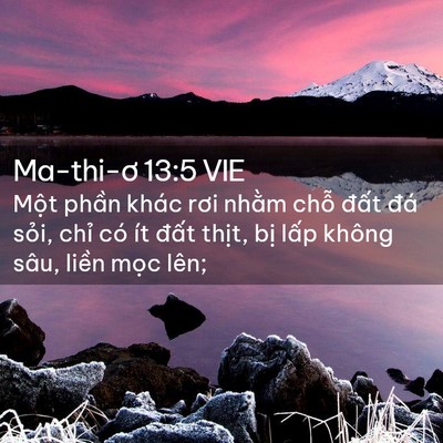 Picture 02 - Ma-thi-ơ 13:5 VIE - Một phần khác rơi nhằm chỗ đất đá - Bible Verse Picture