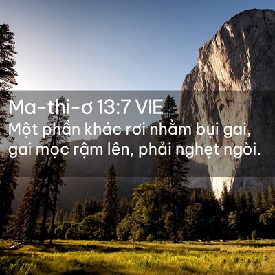 Picture 02 - Ma-thi-ơ 13:7 VIE - Một phần khác rơi nhằm bụi gai, gai - Bible Verse Picture
