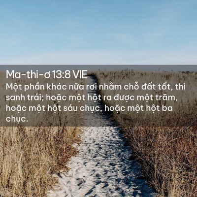 Picture 02 - Ma-thi-ơ 13:8 VIE - Một phần khác nữa rơi nhằm chỗ đất - Bible Verse Picture