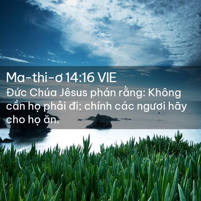 Picture 02 - Ma-thi-ơ 14:16 VIE - Đức Chúa Jêsus phán rằng: Không cần - Bible Verse Picture