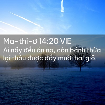 Picture 02 - Ma-thi-ơ 14:20 VIE - Ai nấy đều ăn no, còn bánh thừa lại - Bible Verse Picture