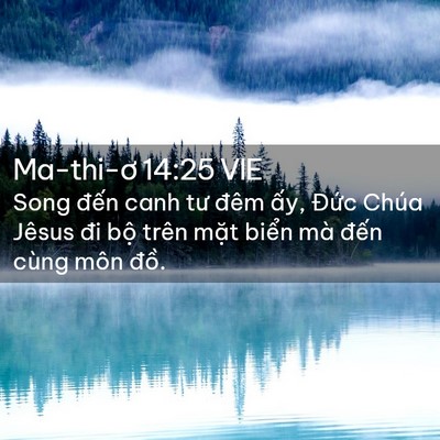 Picture 02 - Ma-thi-ơ 14:25 VIE - Song đến canh tư đêm ấy, Đức Chúa - Bible Verse Picture