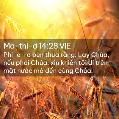 Picture 02 - Ma-thi-ơ 14:28 VIE - Phi-e-rơ bèn thưa rằng: Lạy Chúa, nếu - Bible Verse Picture