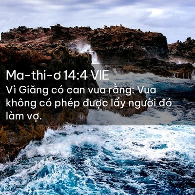 Picture 02 - Ma-thi-ơ 14:4 VIE - Vì Giăng có can vua rằng: Vua không có - Bible Verse Picture