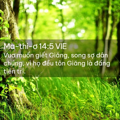 Picture 02 - Ma-thi-ơ 14:5 VIE - Vua muốn giết Giăng, song sợ dân chúng, - Bible Verse Picture