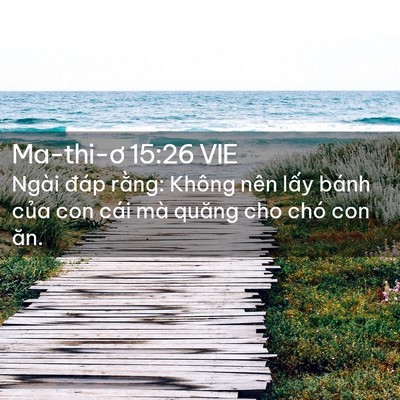 Picture 02 - Ma-thi-ơ 15:26 VIE - Ngài đáp rằng: Không nên lấy bánh của - Bible Verse Picture
