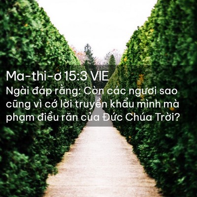 Picture 02 - Ma-thi-ơ 15:3 VIE - Ngài đáp rằng: Còn các ngươi sao cũng - Bible Verse Picture