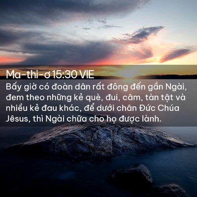 Picture 02 - Ma-thi-ơ 15:30 VIE - Bấy giờ có đoàn dân rất đông đến - Bible Verse Picture