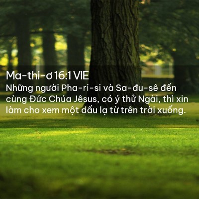 Picture 02 - Ma-thi-ơ 16:1 VIE - Những người Pha-ri-si và Sa-đu-sê đến - Bible Verse Picture