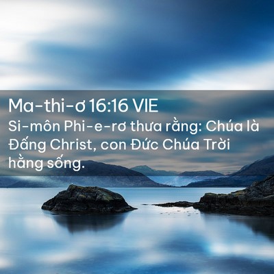 Picture 02 - Ma-thi-ơ 16:16 VIE - Si-môn Phi-e-rơ thưa rằng: Chúa là Đấng - Bible Verse Picture