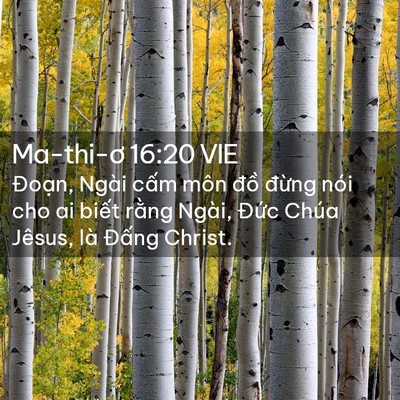 Picture 02 - Ma-thi-ơ 16:20 VIE - Đoạn, Ngài cấm môn đồ đừng nói cho - Bible Verse Picture