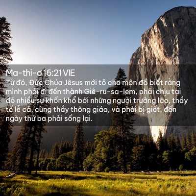 Picture 02 - Ma-thi-ơ 16:21 VIE - Từ đó, Đức Chúa Jêsus mới tỏ cho - Bible Verse Picture
