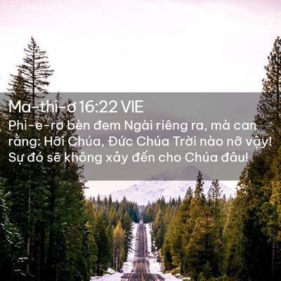 Picture 02 - Ma-thi-ơ 16:22 VIE - Phi-e-rơ bèn đem Ngài riêng ra, mà can - Bible Verse Picture